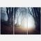 Designart - Magical Trees in Mysterious Forest - Modern Forest Canvas Wall Art